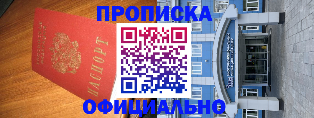 временная регистрация для школы в Электроуглях